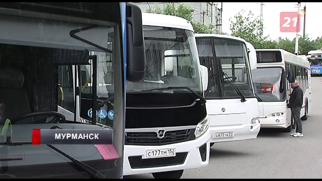 В Мурманске появился новый общественный транспорт Автобусы