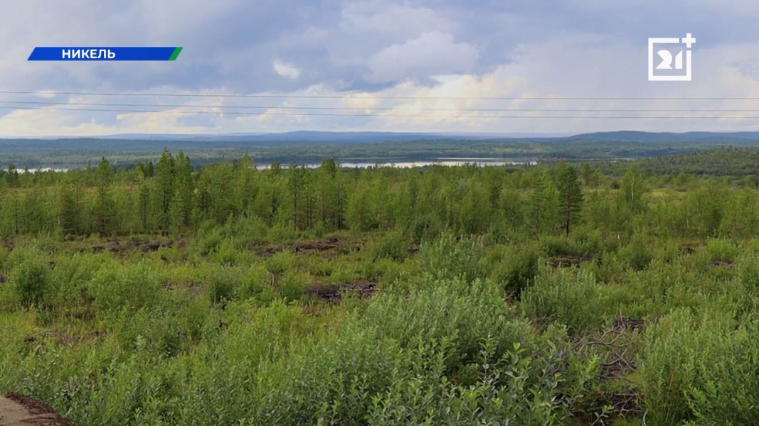 Мурманская область становится чище Мурманская область становится чище