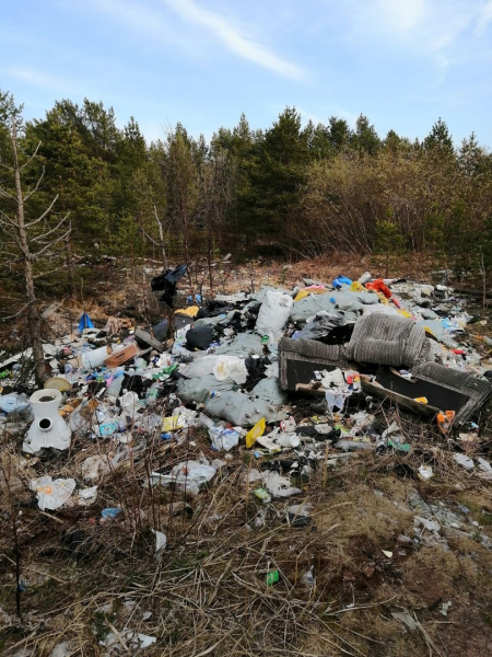 Мусорные свалки в Кашкаранцах Мусор