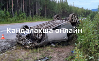 В Мурманской области перевернулась легковушка ДТП