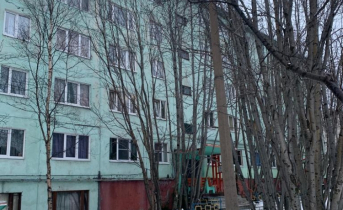 В Мурманске разыскивают хозяина необычного объекта