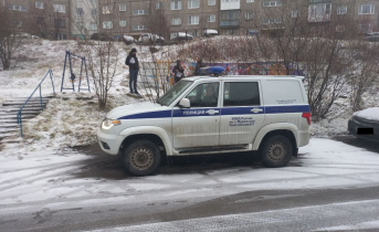 На детской площадке в Мурманске обнаружили труп молодой женщины Полиция