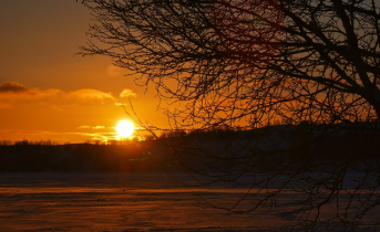 Из минуса в плюс. Резкое потепление ожидается в Мурманской области Солнце