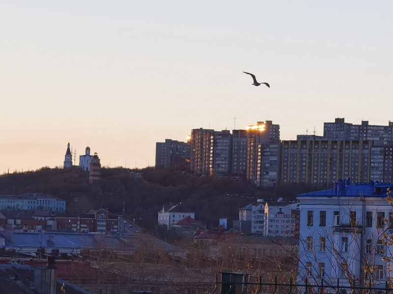 Мужчина пытался убежать с деньгами из мурманской гостиницы Мурманск