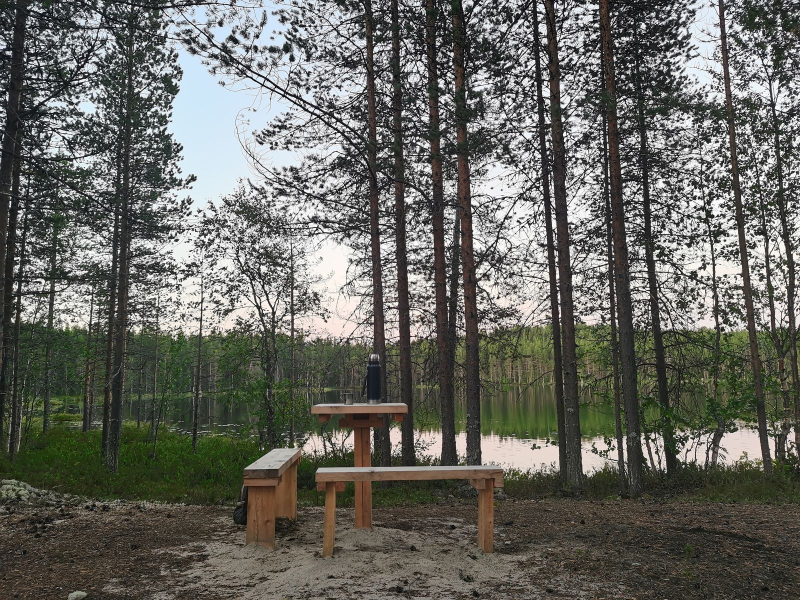 Лес