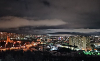 11 случаев свиного гриппа зафиксировали в Мурманской области Мурманск