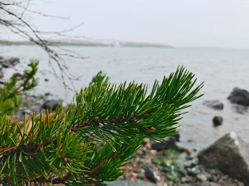 В Мурманской области продолжаются поиски упавшего в воду каякера Озеро