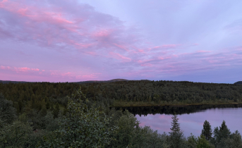 Живописное место для прогулок, фотосессий и отдыха в Мурманске