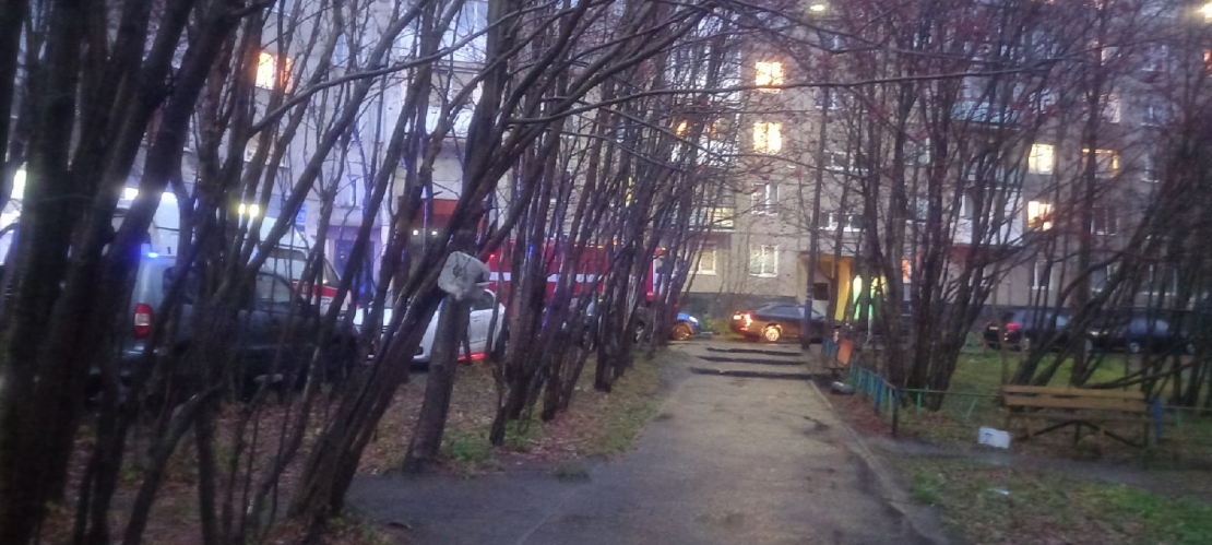 В подъезде жилого дома в Мурманске обнаружили опасный предмет двор