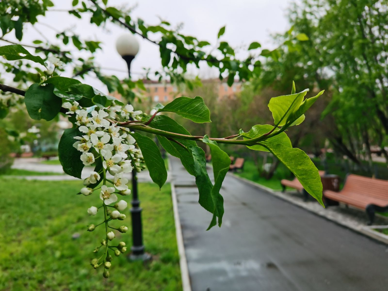 Тепло вернется в Мурманскую область Мурманск