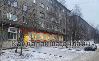 Стали известны подробности о найденном в Мурманской области трупе женщины Труп