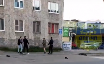 Массовая драка в центре Мурманска попала на видео Драка