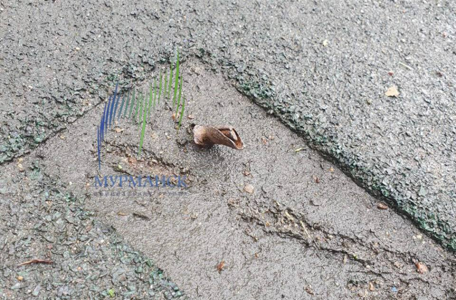 Северян поджидает опасность на детской площадке в Мурманске Железка