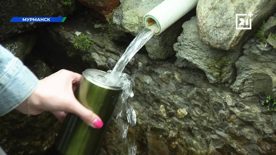 Насколько безвредна вода из мурманских родников? Родник
