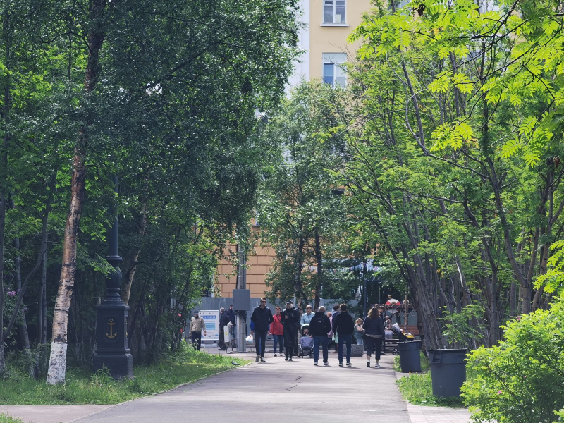 В Мурманской области задержали рецидивиста Люди