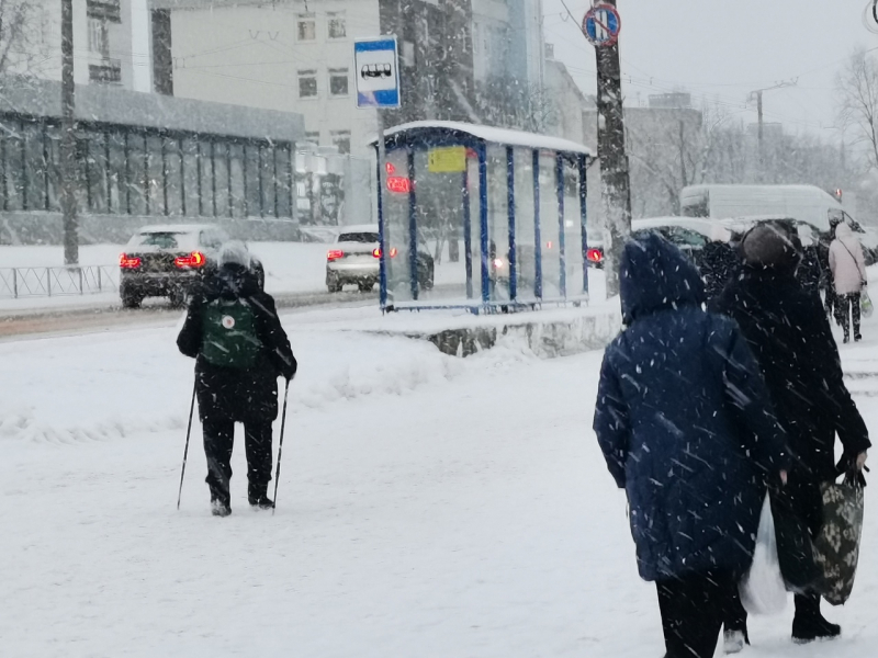 В Мурманске рассказали, как обезопасить себя от вирусных инфекций В Мурманске рассказали, как обезопасить себя от вирусных инфекций
