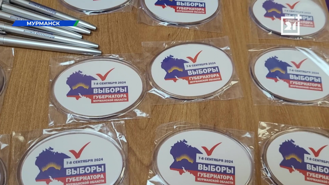 Магниты выборы в Мурманской области