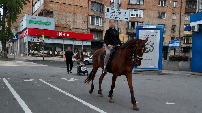 На необычном транспорте начали передвигаться в Мурманске Лошадь