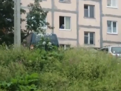 Северяне пожаловались на невыносимое соседство Дом