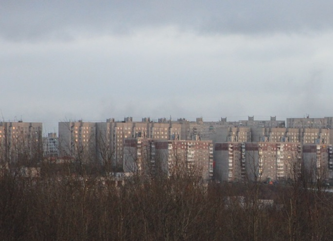 Нетрезвый мужчина ломился в квартиры северян в Заполярье Дома