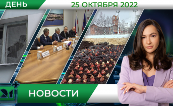 Полное видео программы «Дневные новости» Полное видео программы «Дневные новости»