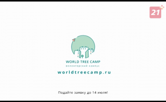В Никеле идет набор участников в Волонтерский кампус World Tree Camp World Tree Camp