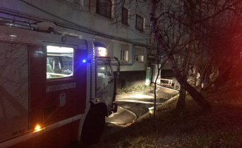 Пожарные спасли троих детей из горящего здания в Мурманской области Пожарные
