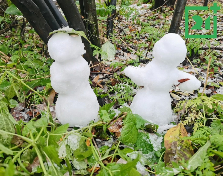 Снеговики