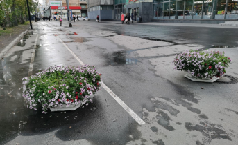 Мурманск