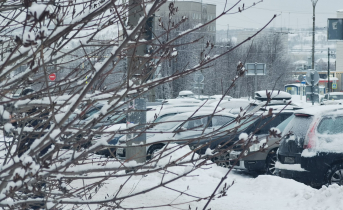 Неприятный сюрприз ожидал северянина в мурманском дворе Автомобили