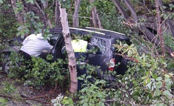 В Заполярье автомобиль вылетел в кювет. 4 человека получили травмы ДТП
