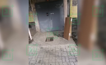 Безвыходная ситуация. Мурманчане попали в ловушку из-за домофона Подъезд