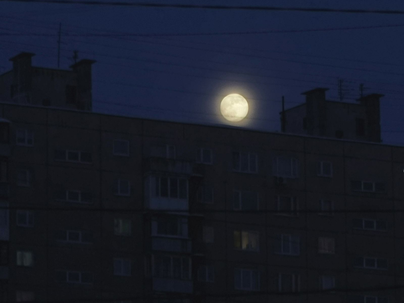 Стрельба в Мурманской области Луна
