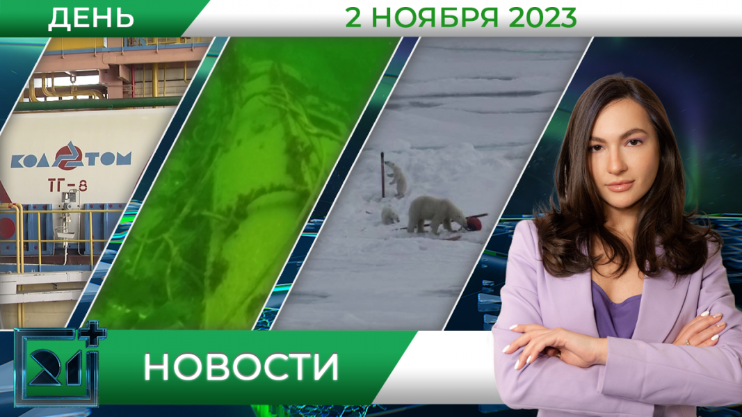 Полное видео программы «Дневные новости»