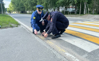 Множественные нарушения обнаружили в Мурманской области Мурманск