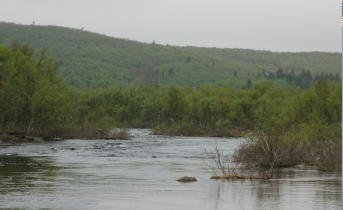 Река