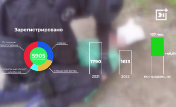 За последние полгода в Мурманской области зарегистрировали 6000 преступлений Преступления