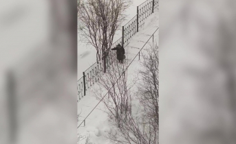 бабушка держится за забор в Мурманске