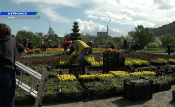 В Мурманске продолжается прием заявок на губернаторскую стипендию Студенты