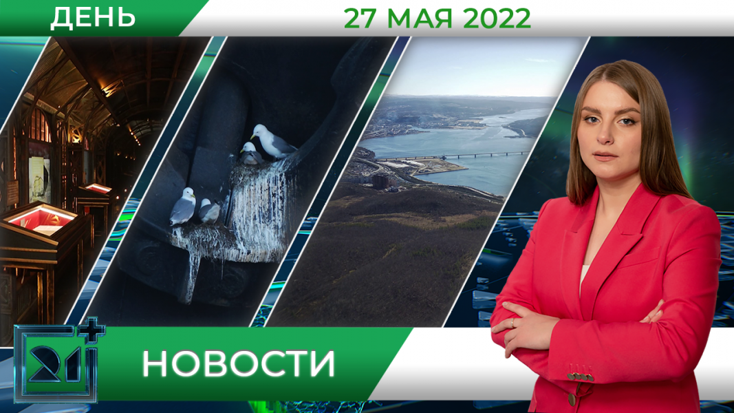 Полное видео программы «Дневные новости»