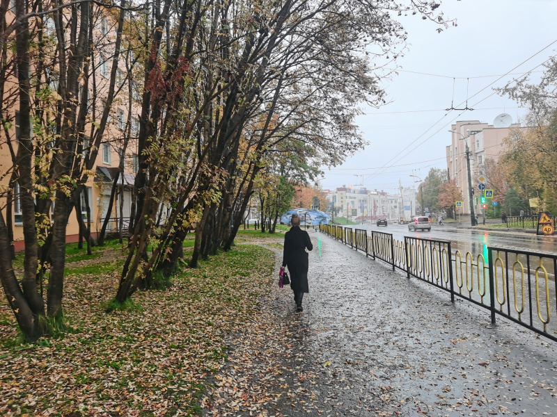 В Мурманске разыскивают без вести пропавшую 13-летнюю девушку Девушка