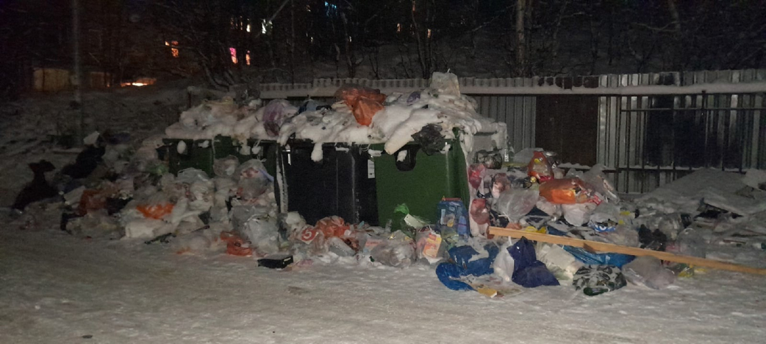 Мурманчане возмущены стихийной свалкой во дворе Мусор
