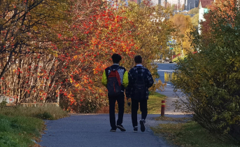В Мурманске прекратили поиски без вести пропавшего 16-летнего подростка Подростки