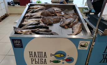 Наша рыба
