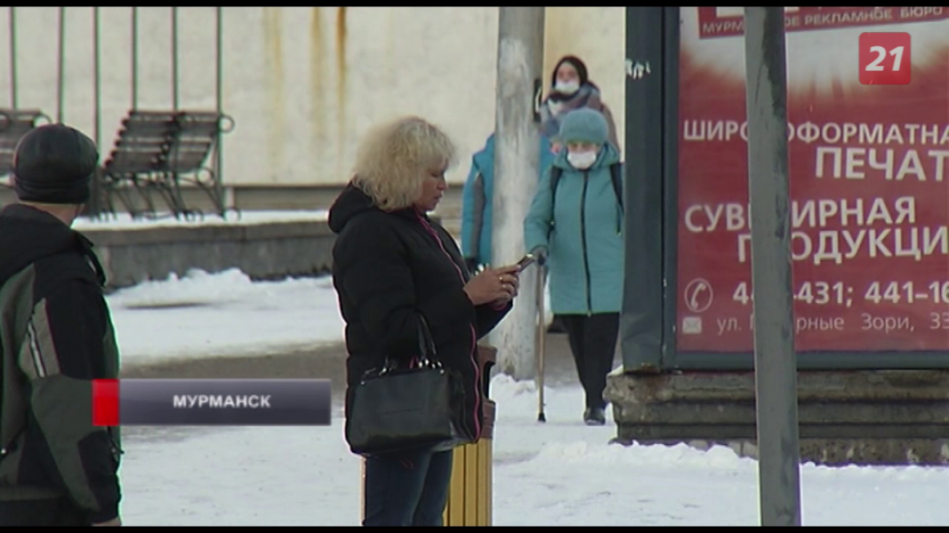В Мурманской области участились киберпреступления Город
