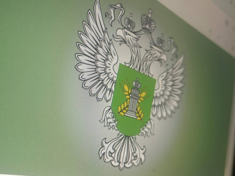 Опасную находку обнаружили в магазине в Мурманске Россельхознадзор