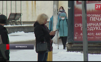 В Мурманской области участились киберпреступления Город