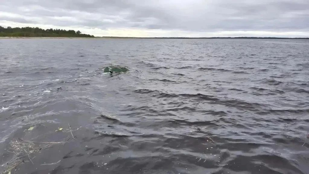 В акватории Белого моря опрокинулась лодка: погиб мужчина Белое море