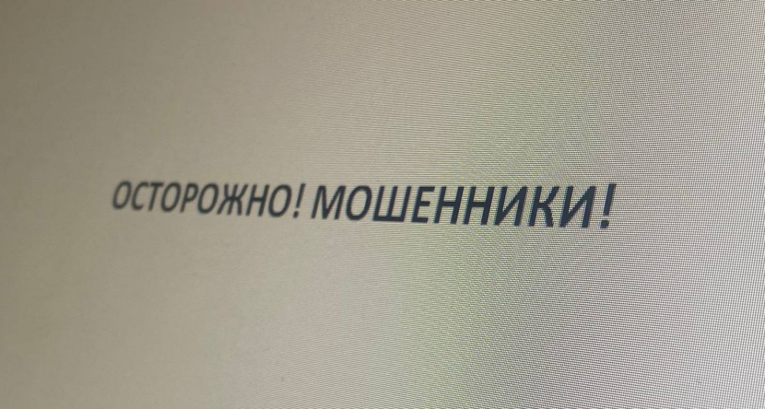 Мошенники в Мурманской области Мошенники