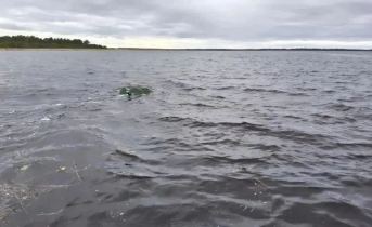 В акватории Белого моря опрокинулась лодка: погиб мужчина Белое море